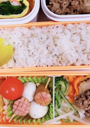 娘のお弁当17★-レシピのメイン写真