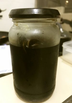 昆布醤油（納豆、チャーハン、何にでも）-レシピのメイン写真