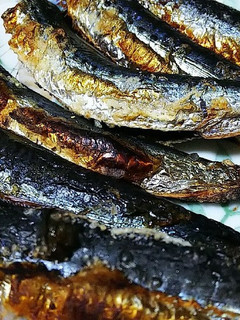 真鰯の塩焼き-レシピのメイン写真