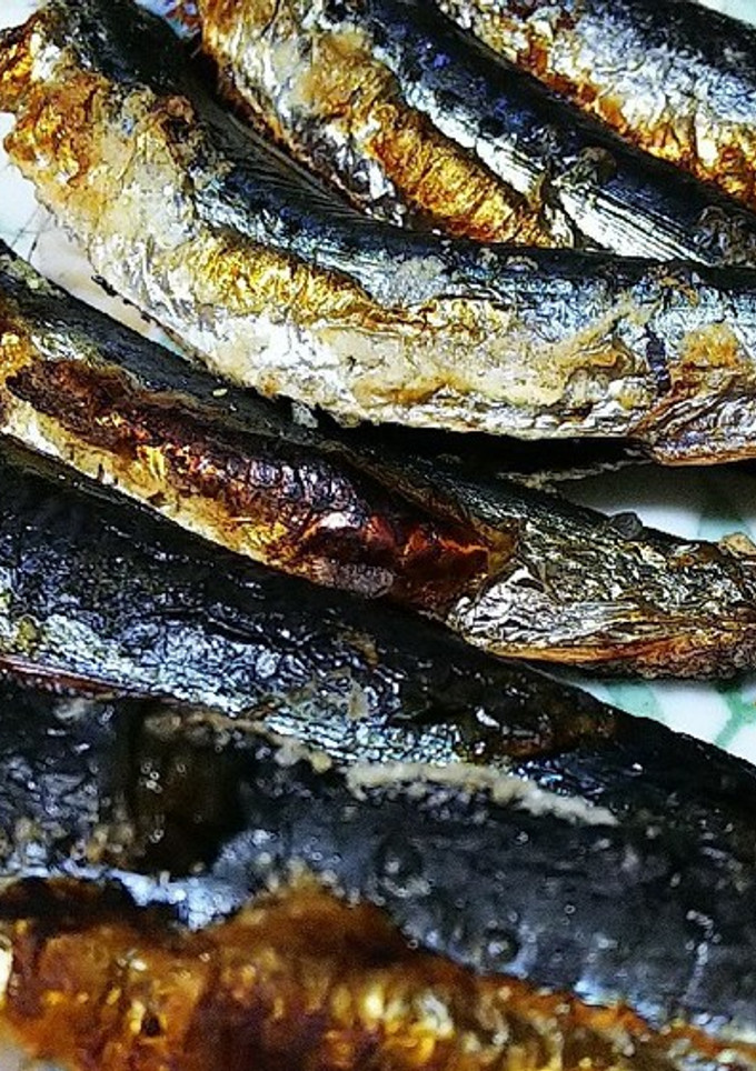真鰯の塩焼き-レシピのメイン写真