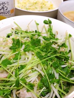 豚バラと豆苗、もやしの重ね蒸し-レシピのメイン写真