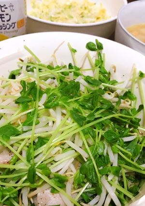 豚バラと豆苗、もやしの重ね蒸し-レシピのメイン写真