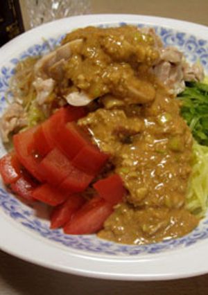 巨匠に習う☆棒々鶏涼麺-レシピのメイン写真
