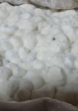友麹法で豆麹作り-レシピのメイン写真