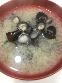 しじみの味噌汁-レシピのメイン写真