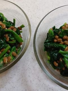 ほうれん草の納豆和え-レシピのメイン写真