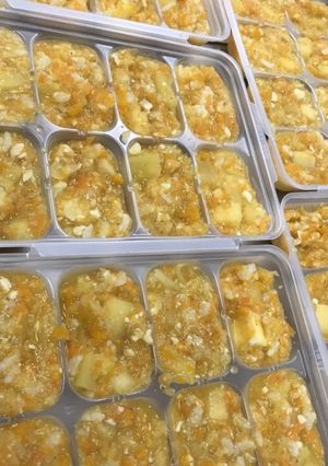 犬のご飯-レシピのメイン写真