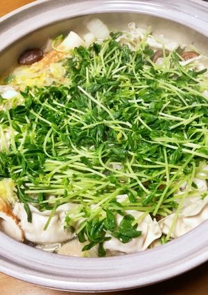 水炊き鍋-レシピのメイン写真