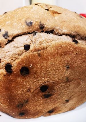 HBでチョコチップ入りココア食パン-レシピのメイン写真