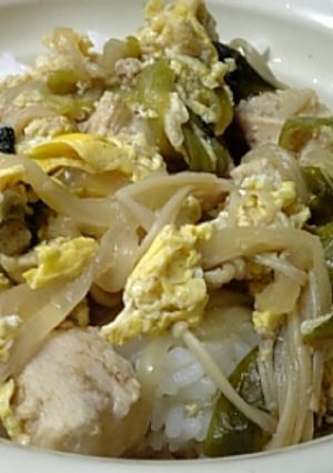 野菜たっぷり親子丼-レシピのメイン写真