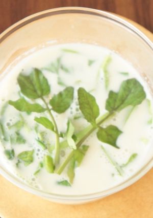 春の肝対策に！クレソンの豆乳スープ-レシピのメイン写真