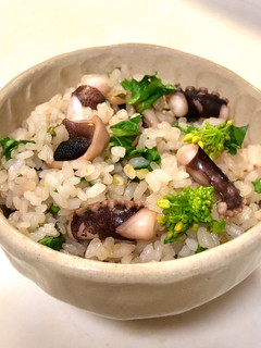 こく旨菜の花入りたこ飯-レシピのメイン写真