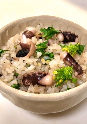 こく旨菜の花入りたこ飯-レシピのメイン写真