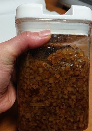 島らっきょうの茎で万能薬味♪-レシピのメイン写真