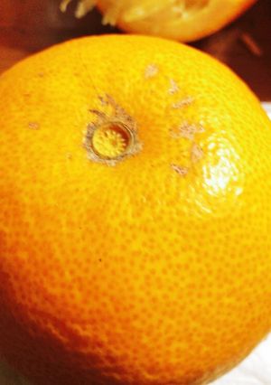 八朔が美味しい季節です-レシピのメイン写真