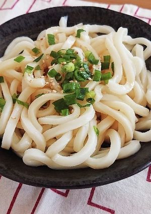 息子飯☆ぶっかけうどん-レシピのメイン写真