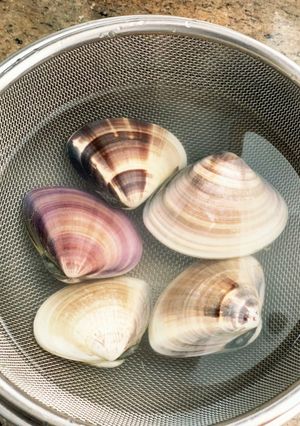 はまぐり　砂抜き-レシピのメイン写真