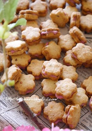 桜のルビーチョコサンドクッキー✿-レシピのメイン写真