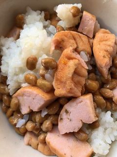 納豆とさくら伊達巻のご飯-レシピのメイン写真