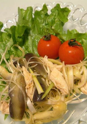 蒸しナスと鶏ささみの中華風サラダ-レシピのメイン写真