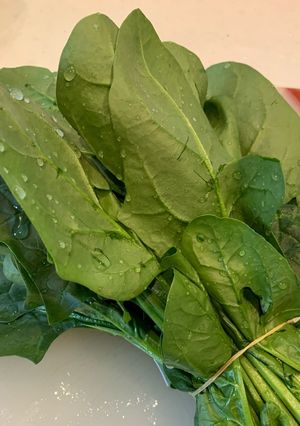 ほうれん草の下処理-レシピのメイン写真