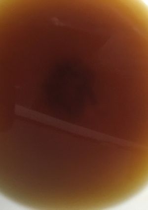 温泉卵のタレ-レシピのメイン写真