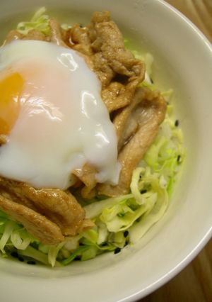 ●●豚・タマ・胡麻・キャベ丼●●-レシピのメイン写真