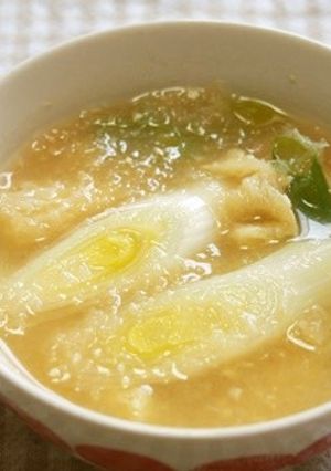長ネギと大根おろしの味噌汁♪-レシピのメイン写真