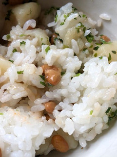 納豆肉じゃがご飯-レシピのメイン写真