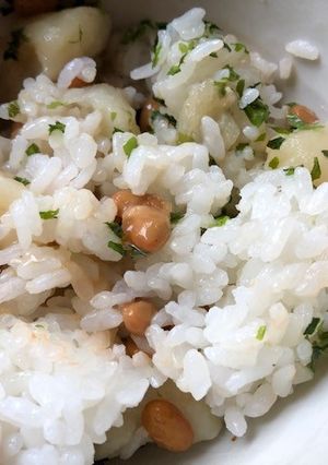 納豆肉じゃがご飯-レシピのメイン写真