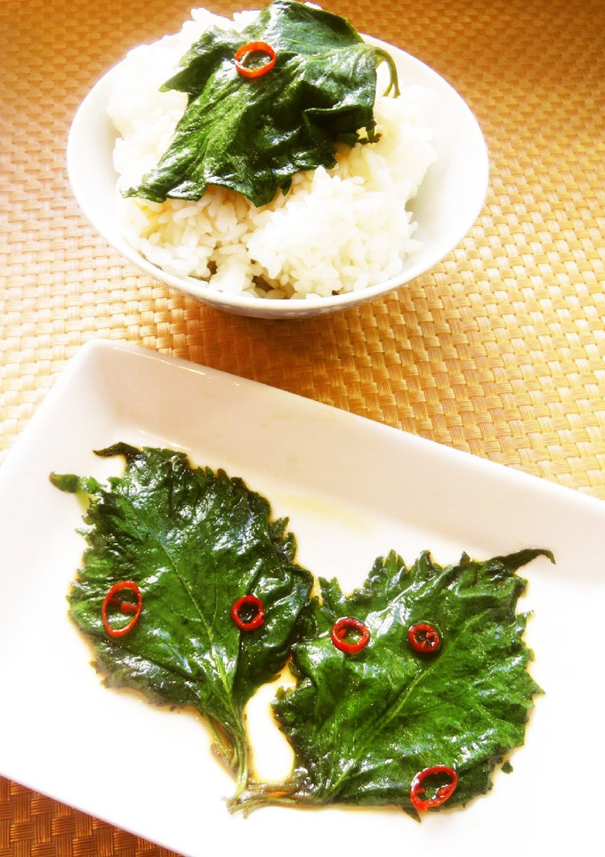 ☺大量消費に☆簡単♪青じその醤油漬け☺-レシピのメイン写真