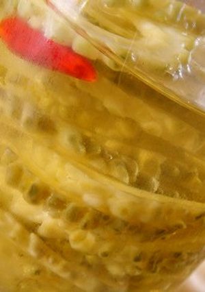 すっきりさっぱり♪ゴーヤのピリ辛甘酢漬け-レシピのメイン写真