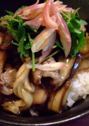 生姜かおる♪とろ~りナス丼-レシピのメイン写真