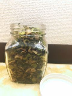 高菜の生ふりかけ-レシピのメイン写真