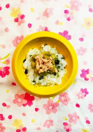 離乳食中期✩.*˚ツナとなすの海苔がゆ-レシピのメイン写真