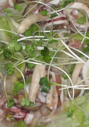 いかとレタスのしょうが風味-レシピのメイン写真