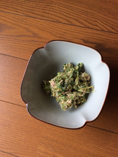 ふきのとうのツナ和え-レシピのメイン写真