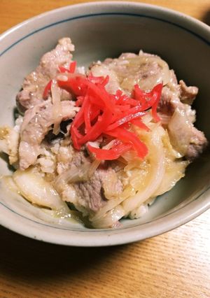 ご飯にも生姜がW生姜で旨い豚丼-レシピのメイン写真