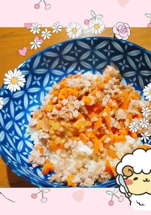【出稼ぎメシ】有り合わせ野菜の納豆丼-レシピのメイン写真