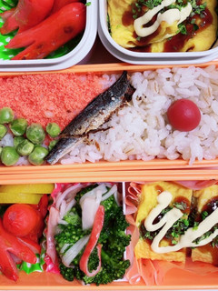 娘のお弁当19★-レシピのメイン写真