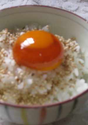 卵黄消費に❤濃厚卵かけご飯☆-レシピのメイン写真