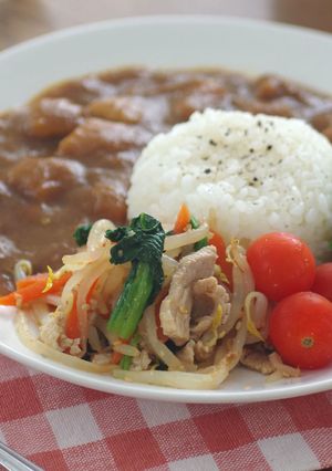 豚ともやしの栄養満点サラダ-レシピのメイン写真