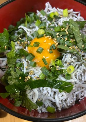 しらす丼-レシピのメイン写真