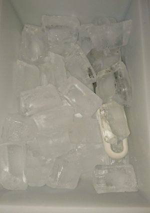 冷凍氷はたっぷりストックしてます♪-レシピのメイン写真