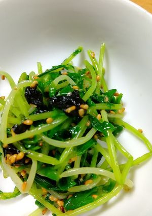 簡単⭐️栄養満点⭐️豆苗ナムル-レシピのメイン写真