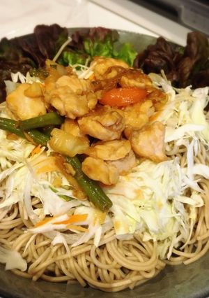 野菜と甘辛鶏肉のせ蕎麦-レシピのメイン写真