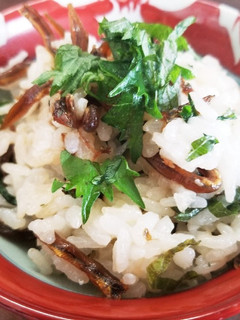 イカナゴのくぎ煮ご飯-レシピのメイン写真