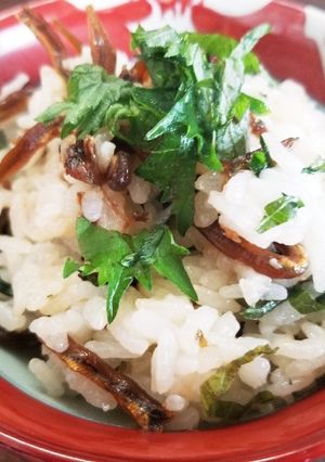 イカナゴのくぎ煮ご飯-レシピのメイン写真