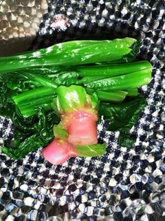 ほうれん草 茹でただけ!-レシピのメイン写真