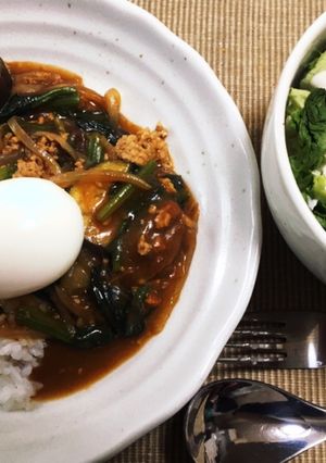 ひき肉とナスのカレー-レシピのメイン写真